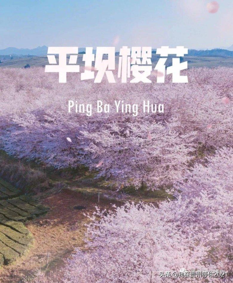 原来是谣言?美国皮尤研究中心发布报告,三分之一年轻人不离家